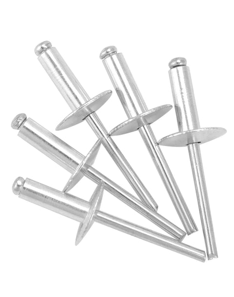 Hardcore Heavy Duty Aluminum Blind Rivets With Large Flange And 500 Piece Professional Hardware Kit For Metal Bonding And Auto Body Work Built Tough And Rust Resistant