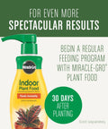 Miracle-Gro Indoor Plant Food bottle with dispensing pump for houseplant care, ensures plants thrive after planting.
