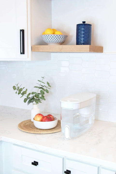 18 Cup Home Water Filter Dispenser That Really Cleans Water Removing Bacteria And Parasites Reducing Microplastics And Chemicals