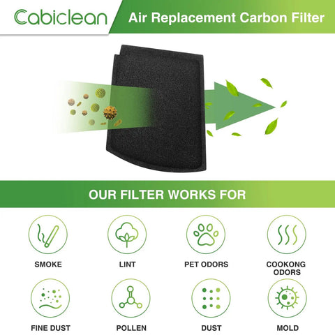 Premium Carbon Filter Replacement For TrueAir Pet Odor Purifier 04234G showing odor particles being filtered