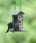 Rustic Black Metal Suet Cage Feeder For Outdoor Bird Watching, Hanging Bird Feeder With One Suet Cake Capacity, bird feeding