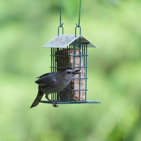 Rustic Black Metal Suet Cage Feeder For Outdoor Bird Watching, Hanging Bird Feeder With One Suet Cake Capacity, bird feeding