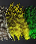 Natural Grizzly Rooster Hackle Feathers For Fly Tying Dope 30 Pcs Set White Yellow Green 10 To 15 Cm Long Realistic Fishing