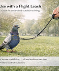 A pigeon wearing a harness connected to a flight leash outdoors, part of the Indoor Pigeon Harness Kit With Reusable Diaper Pants And Flight Training Leash, 4 Pack.