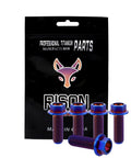 Rison titanium flanged hex head bolts in burnt blue finish, M8x1.25x20mm, pack of 5.