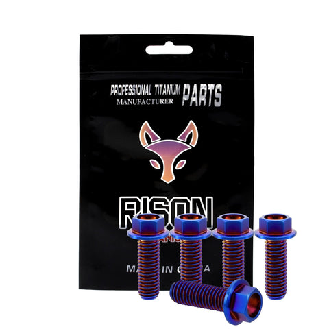 Rison titanium flanged hex head bolts in burnt blue finish, M8x1.25x20mm, pack of 5.