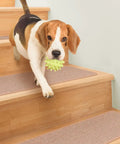 No Slip Carpet Stair Treads Set Of 15 Pebble Beige 8 Inches By 30 Inches With Skid Resistant Rubber Backing on stairs with dog