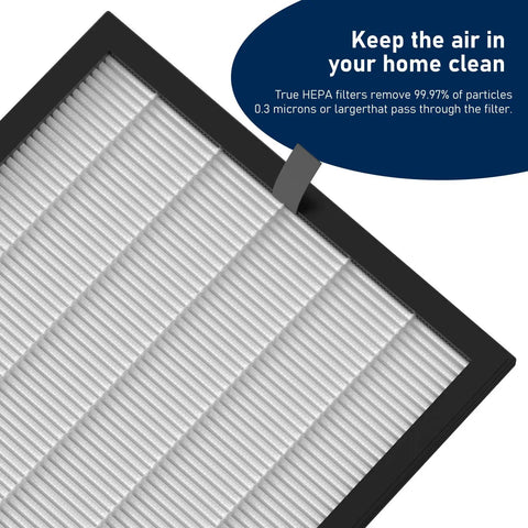 Close-up of Two Pack G3 True HEPA Replacement Filter FXAP2W For AMEIFU G3 Sferf-30 Air Purifier VEWIOR A3 showcasing filter detail.