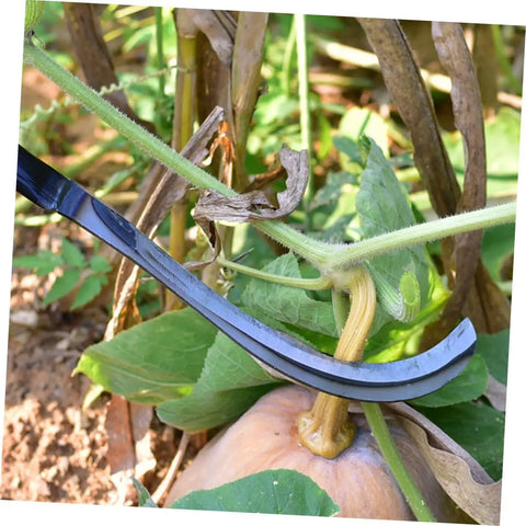 2 Piece Manganese Weeding And Harvesting Tool Sharp Agricultural Sickle in use for pumpkin plant pruning