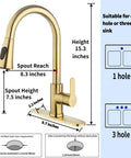 Dimensions of Brushed Gold Pull Down Kitchen Faucet With Sprayer High Arc Single Handle Stainless Steel 1 Hole Deck Mount