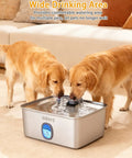 Huge 4 Gallon Dog Water Fountain For Large Dogs And Multi-Pet Homes Stainless Steel Pet Fountain With Water Window And LED Light Ultra Quiet Automatic Water Bowl Dispenser No Fuss Easy To Clean FS76 in use with two dogs drinking