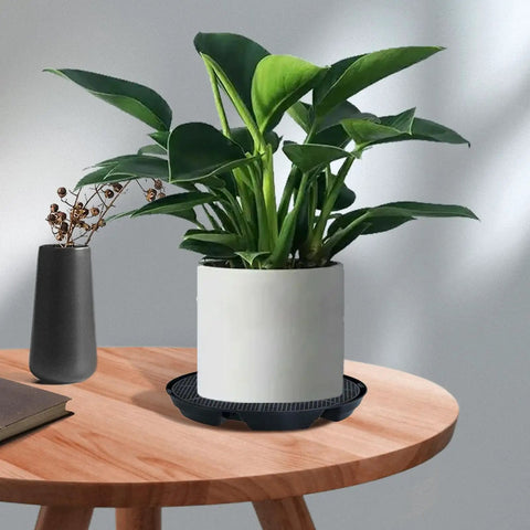 Automatic Irrigation Planter Base Pro Grade With Self Watering Pot Tray System for indoor plants on wooden table.