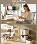 Top Shelf Automatic Cat Feeder With Dual Bowls And HD Camera Setup Built For Two Cats showing two cats approaching feeder.
