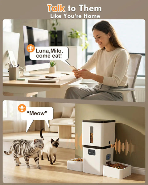 Top Shelf Automatic Cat Feeder With Dual Bowls And HD Camera Setup Built For Two Cats showing two cats approaching feeder.