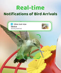 Dope Smart Hummingbird Feeder With Camera For Backyard Birding Solar Powered AI Identification 1080p Video Feed