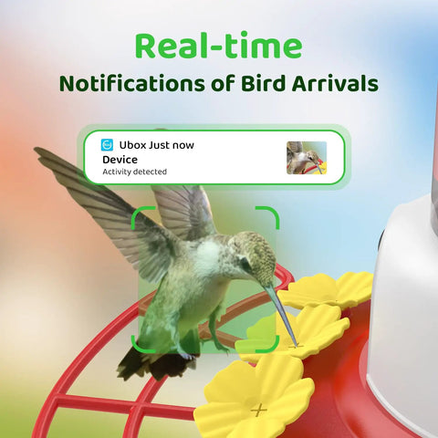 Dope Smart Hummingbird Feeder With Camera For Backyard Birding Solar Powered AI Identification 1080p Video Feed