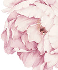 Close-up of vintage pink peony flower from Peony Flowers Wall Sticker In Vintage Pink For Modern Homes Dope Removable And Reusable Floral Wall Art You Can Reposition Made In The USA Contemporary Pink Peony Decor For Living Room Bedroom Nursery
