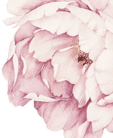 Close-up of vintage pink peony flower from Peony Flowers Wall Sticker In Vintage Pink For Modern Homes Dope Removable And Reusable Floral Wall Art You Can Reposition Made In The USA Contemporary Pink Peony Decor For Living Room Bedroom Nursery