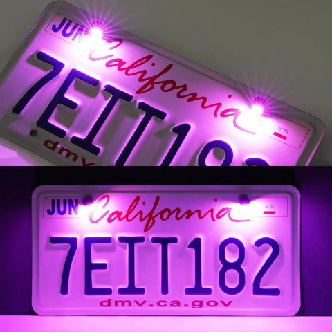 Crazy Bright 5050 LED License Plate Light Kit 12V Waterproof Black Aluminum Holder Purple 2 Pack illuminating plate