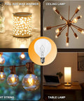 25 Watt Wax Warmer Bulbs 120V E12 Base G50 For Full Size Scentsy Wax Warmer Candle Warmer Lamp in various lighting applications