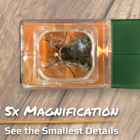 5x Magnifying Bug Catcher With One-Handed Quick Release Trap For Indoor Outdoor Exploration Kids And Adults STEM Learning Toy For Safe Bug Viewing And Easy Release, close-up on insect