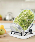 All In One Sprouting Kit with 1000ml Glass Jar, Filter Lid, Adjustable Bracket, and Drip Tray for growing sprouts on kitchen counter
