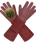 Thorn Proof Long Gardening Gloves For Women And Men Heavy Duty Pruning Gauntlets For Roses Blackberries Cactus And Holly displayed with cactus