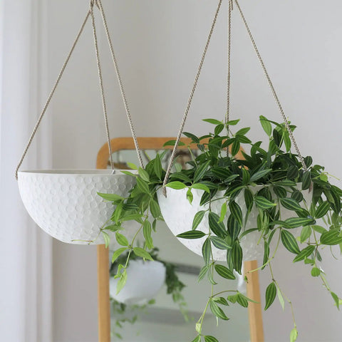 Two Pack 10 Inch Hanging Planters With White Honeycomb Design For Indoor And Outdoor Use, displaying greenery