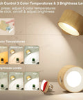 LED Sconce Wall Lamps Cordless Rechargeable Battery Powered with USB Port, showing light effects and touch controls.