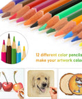 Color pencils arranged, with artwork of cherries, a dog portrait, and a cartoon cat on wooden slices below.