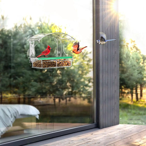 Clear Acrylic Window Bird Feeder With 4 Strong Suction Cups And Detachable Seed Tray Highly Transparent Outdoor Viewing Birdfeeder mounted on a window with birds feeding.