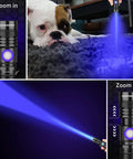 365nm UV Flashlight Blacklight 2 Pack USB Rechargeable Handheld Wood's Lamp highlighting pet urine stains on carpet