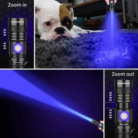 365nm UV Flashlight Blacklight 2 Pack USB Rechargeable Handheld Wood's Lamp highlighting pet urine stains on carpet
