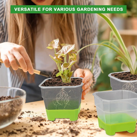 Ten Pack 4 Inch Clear Nursery Pots With Reinforced Silicone Base For Easy Transplant And Root Friendly Seed Starter Seedling Pots With Drainage For Greenhouse Or Garden Use in use for plant transplanting