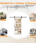 30 Inch By 84 Inch Mirrored Barn Door Set With 3 Lite Mirror Panels, 6 Foot Sliding Hardware Kit in room scene showcase