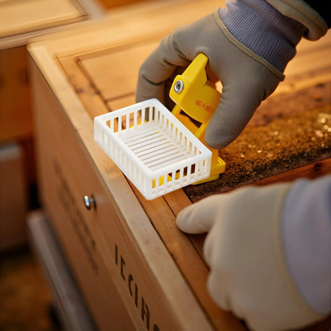 Gloved hand using Queen Marker Cage Clip for Beekeeping Plastic Queen Catcher Tool for Safe Handling on hive.