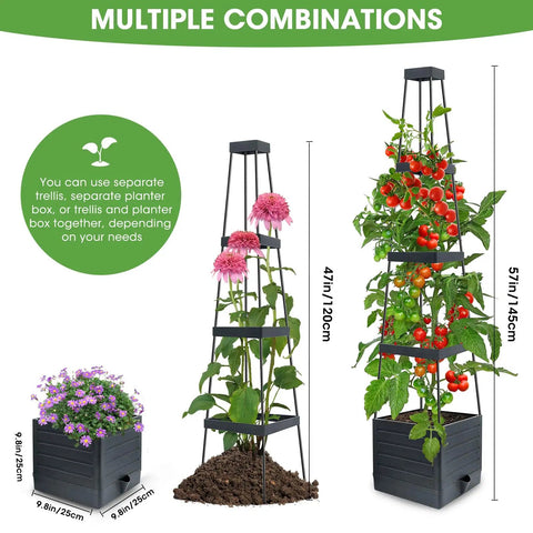 Raised Garden Bed Planter With Trellis 58 Inch Tomato Cage For Climbing Veggies Self Watering Pots For Indoor And Outdoor Garden Patio Greenhouse All In One Pot System For Fresh Picks