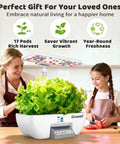 Indoor Hydroponics Growing System Kit With 17 Pod Garden shown on kitchen counter with lettuce, woman, and child preparing food