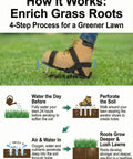 Infographic showing lawn care process with beefy lawn aerator shoes, including steps for enriching grass roots.