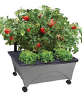 City Picker Raised Bed Grow Box With Self Watering System And Improved Aeration Mobile Garden With Casters Slate