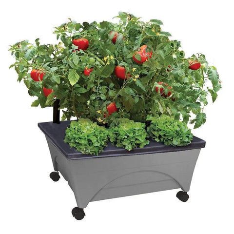 City Picker Raised Bed Grow Box With Self Watering System And Improved Aeration Mobile Garden With Casters Slate