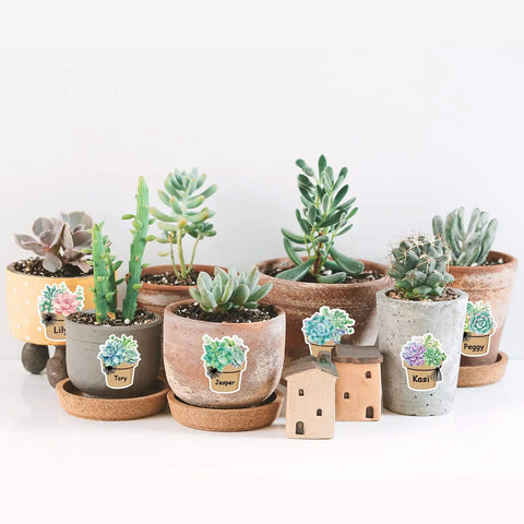 Succulents with 120 Pieces Dope Succulent Name Tag Stickers Set With 12 Designs For Summer Back To School Classroom Office Desk Wall Decor