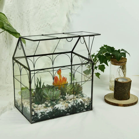 Large Tall Glass Terrarium With Lid For Indoor Plants Dope Desktop Greenhouse Enclosure For Orchids Succulents And Cacti Tall Tabletop Display In Black Frame 8.7 By 5.9 By 10.6 Inches Easy Lift Lid