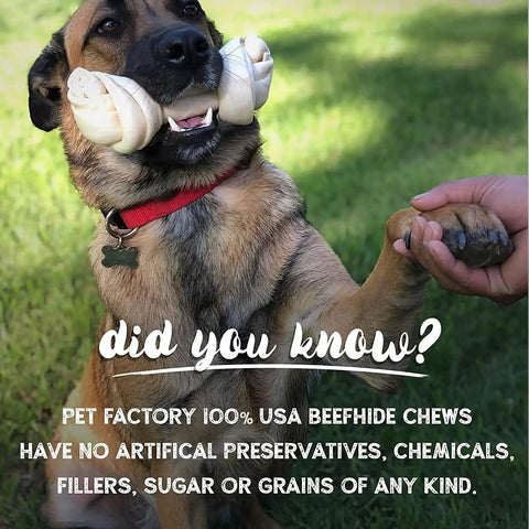 Dog holding hand with chew toy, Braided Beefhide Dog Chews With Peanut Butter Flavor 7 Inch Long USA Made Rawhide Chews For Medium Dogs Durable Chews That Last Long For Dental Health Pack Of 6