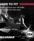 Mechanic installing Long Life Miniature Bulbs For Interior Lighting Pack Of Two Ideal For Map Lights Dome Lights And License Plate