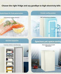 Top Shelf Single Door Upright Freezer With Nifty Adjustable Shelves For Bulk Groceries And Frozen Meals Quiet Operation Zone For Everyday Kitchen Organization And Heavy Duty Storage Solutions with nutrient separation and quick-freeze features.