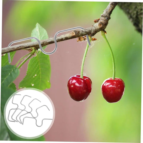 Set Of 10 Fruit Tree Pullers And Branch Spreader Tools on cherry branch, adjustable bend device for pruning, galvanized wire, silver finish.