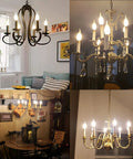 Chandeliers with LED Candelabra Bulb 25W Equivalent 3000K Soft White Warm Glow Flame Tip Frosted Glass E12 Base Dimmable