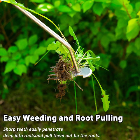 Uproot Like a Pro Hand Held Weeder Puller Tool With Rubber Grip Four Teeth Stainless Steel Weed Remover extracting roots