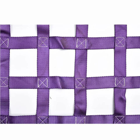Close-up of Heavy Duty Nylon Cargo Lift Net, sturdy purple woven straps designed for safe equipment hoisting up to three point five tons.